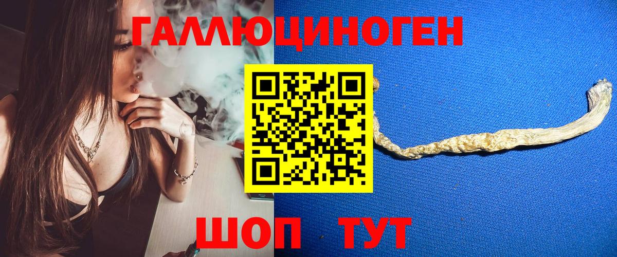 Псилоцибиновые грибы Cubensis Евпатория